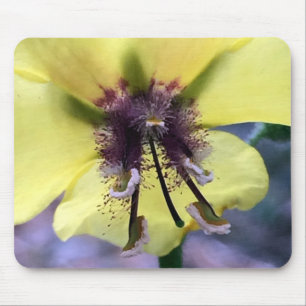 Gelbe Blume 3 Mousepad
