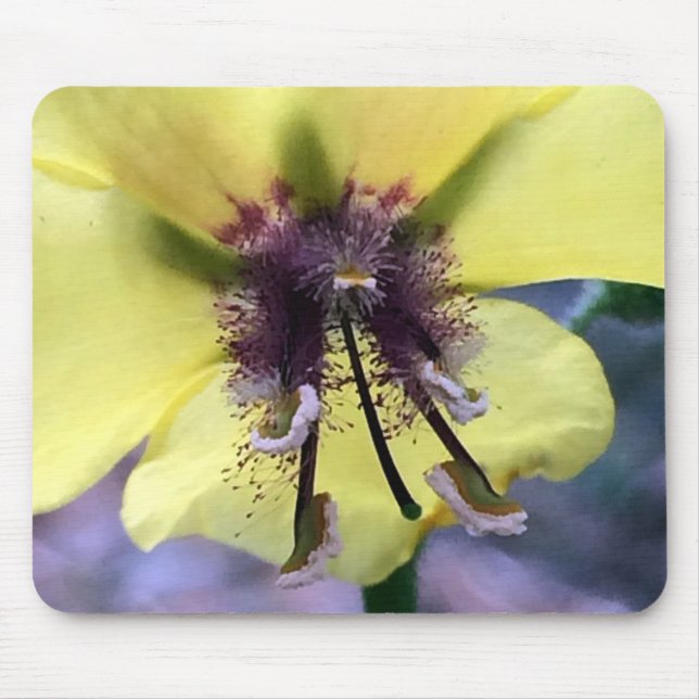 Gelbe Blume 3 Mousepad (Vorne)