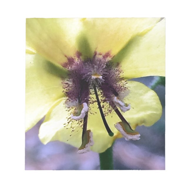 Gelbe Blume 3 Notizblock (Vorderseite)