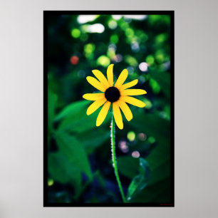 Gelbe Blume #5033 Poster