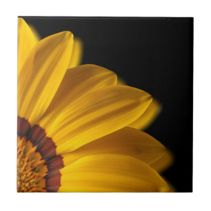 Gelbe Blume auf schwarzem Hintergrund Fliese