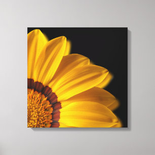 Gelbe Blume auf schwarzem Hintergrund Leinwanddruck