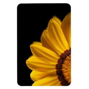 Gelbe Blume auf schwarzem Hintergrund Magnet