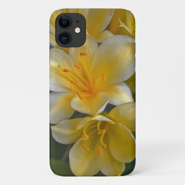 Gelbe Blume aus der Goldenen Seele Case-Mate iPhone Hülle (Rückseite)