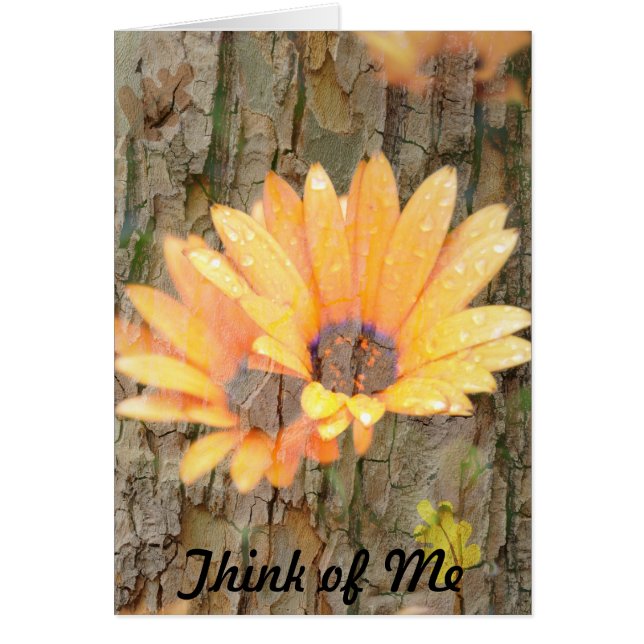 Gelbe Blume Bark Denken Sie an mich (Vorne)
