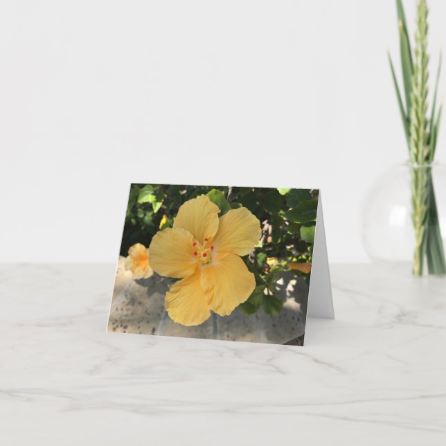 Gelbe Blume blühend Karte (Vorderseite)