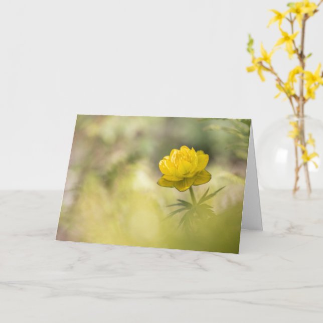 Gelbe Blume Buttercup Karte (Gelbe Blume)