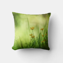 Gelbe Blume Buttercup Nature Foto