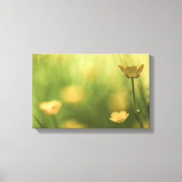 Gelbe Blume Buttercup Nature Foto Leinwanddruck