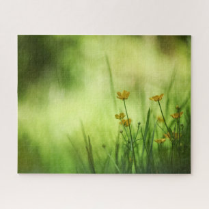 Gelbe Blume Buttercup Nature Foto Puzzle