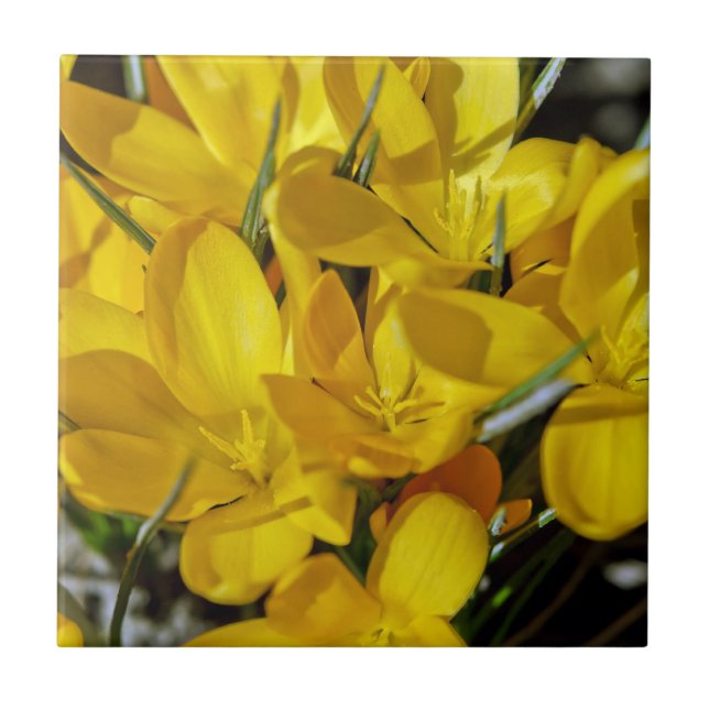 Gelbe Blume Fliese (Vorderseite)