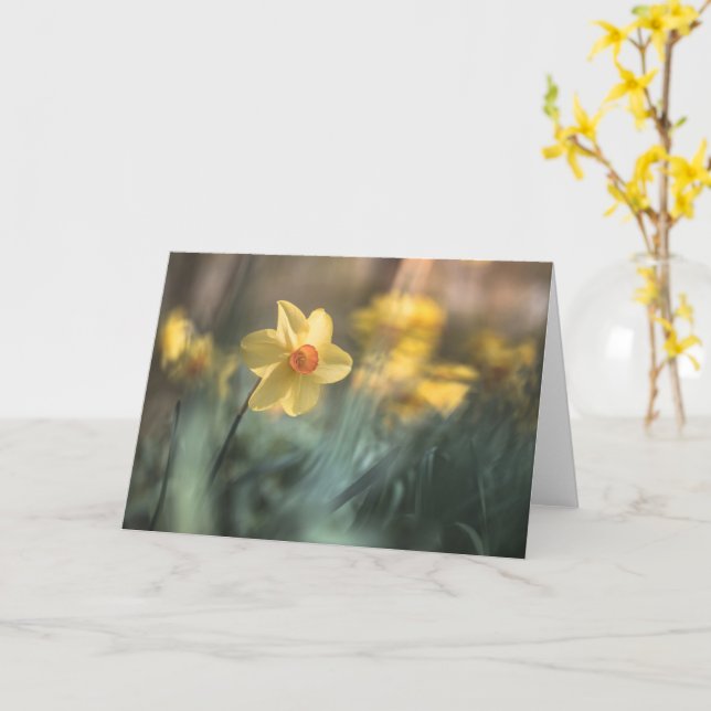 Gelbe Blume Foto Karte (Gelbe Blume)