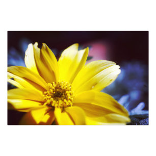 Gelbe Blume Fotodruck