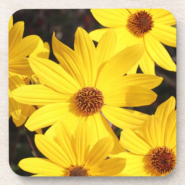 Gelbe Blume Getränkeuntersetzer (Vorderseite)