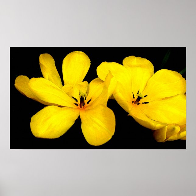 Gelbe Blume Leinwand Poster (Vorne)