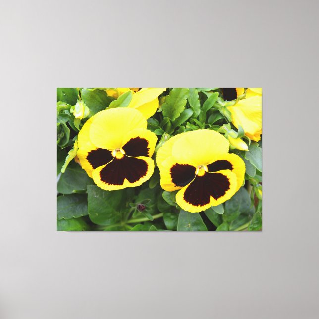 Gelbe Blume Leinwanddruck (Vorderseite)