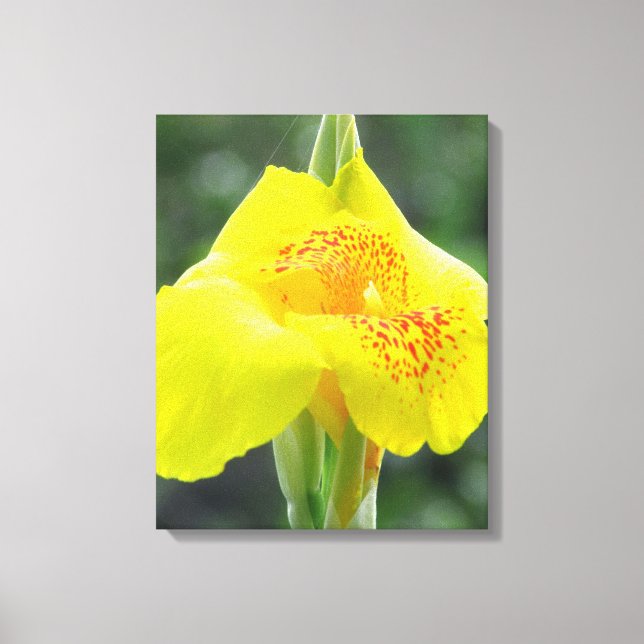 Gelbe Blume Leinwanddruck (Vorderseite)