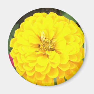 Gelbe Blume Magnet