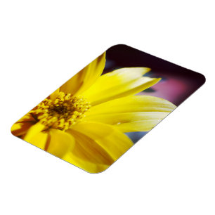 Gelbe Blume Magnet
