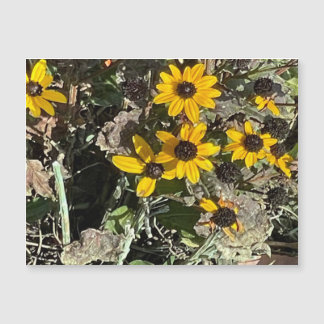 Gelbe Blume Magnetkarte