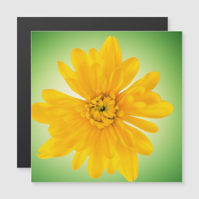 Gelbe Blume Magnetkarte (Vorne/Hinten)