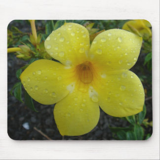 Gelbe Blume Mousepad