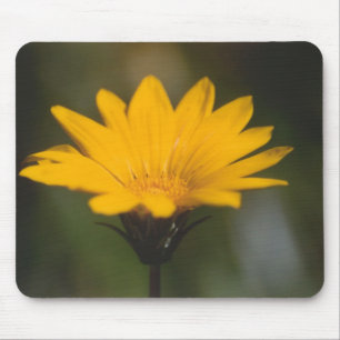 Gelbe Blume Mousepad