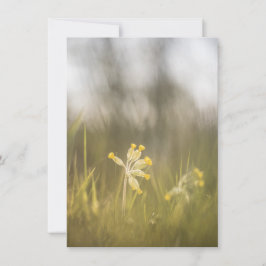 Gelbe Blume Naturfotokarte