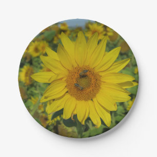 Gelbe Blume Pappteller
