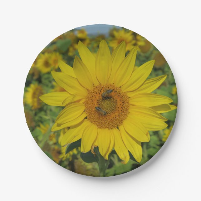Gelbe Blume Pappteller (Vorderseite)