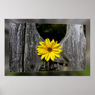Gelbe Blume Poster