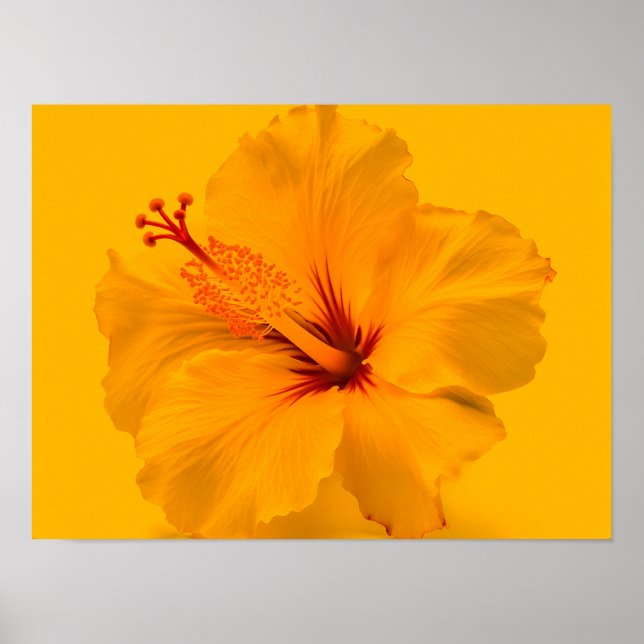 Gelbe Blume Poster (Vorne)