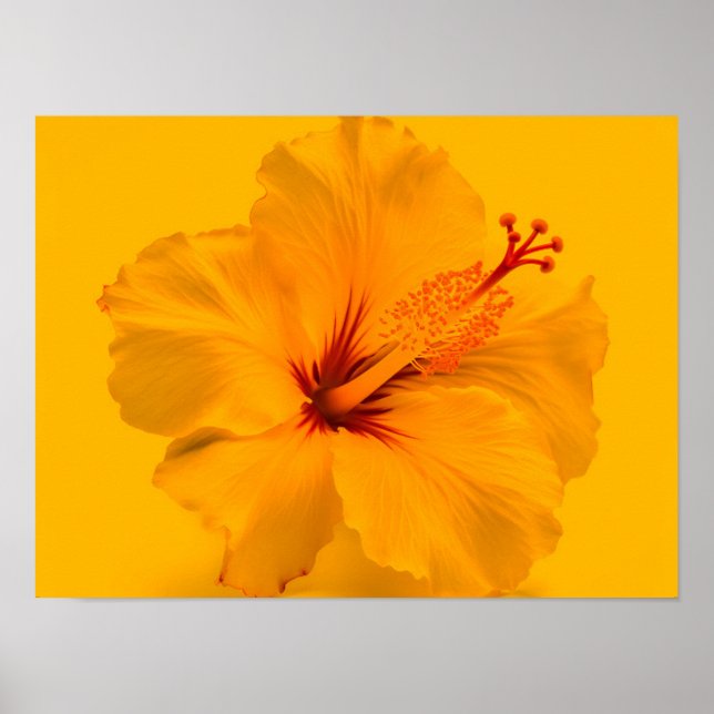 Gelbe Blume Poster (Vorne)