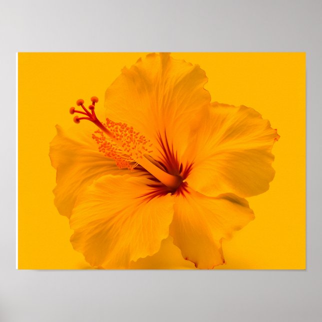 Gelbe Blume Poster (Vorne)