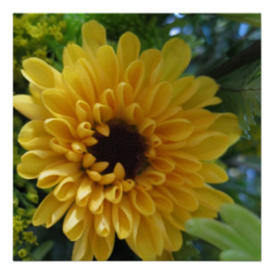 Gelbe Blume Poster Print