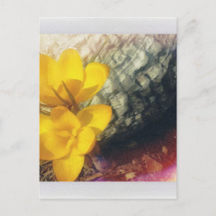 Gelbe Blume Postkarte