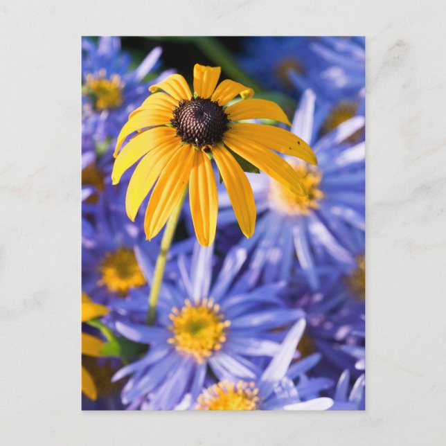 Gelbe Blume Postkarte (Vorderseite)