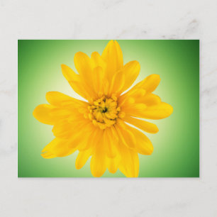 Gelbe Blume Postkarte