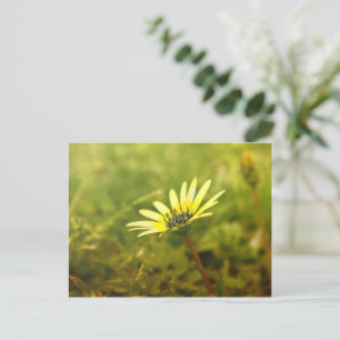 Gelbe Blume Postkarte