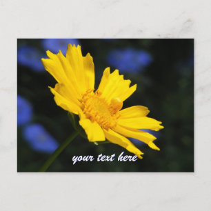 Gelbe Blume Postkarte