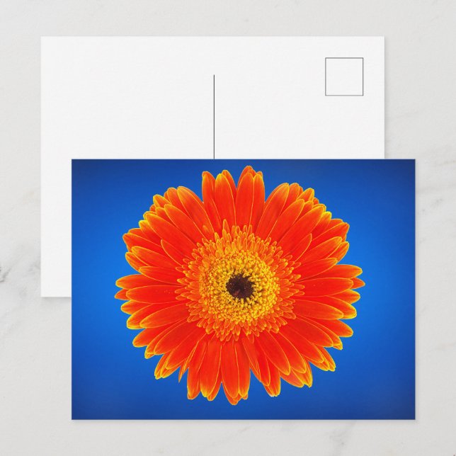 Gelbe Blume Postkarte (Vorne/Hinten)