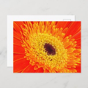Gelbe Blume Postkarte