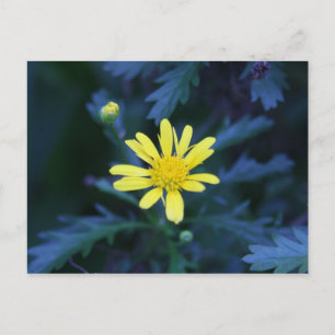 gelbe Blume Postkarte