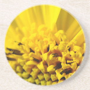 Gelbe Blume Sandstein Untersetzer