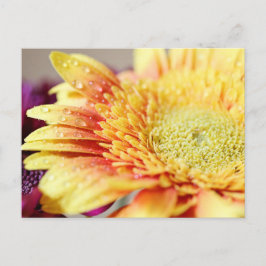 Gelbe Blume und Tröpfchen-Postkarte Postkarte
