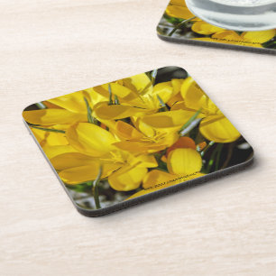 Gelbe Blume Untersetzer