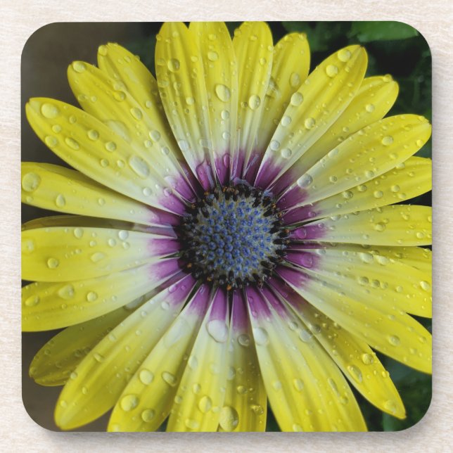 Gelbe Blume Untersetzer (Vorderseite)