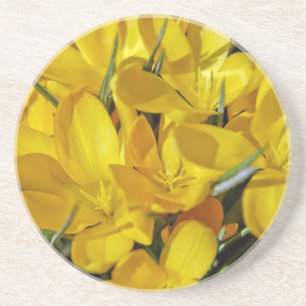 Gelbe Blume Untersetzer