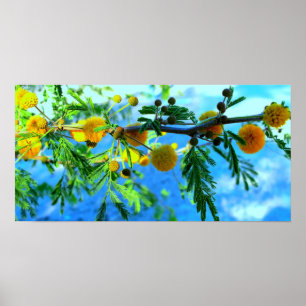 Gelbe Blumen auf einem Baumzweig Poster