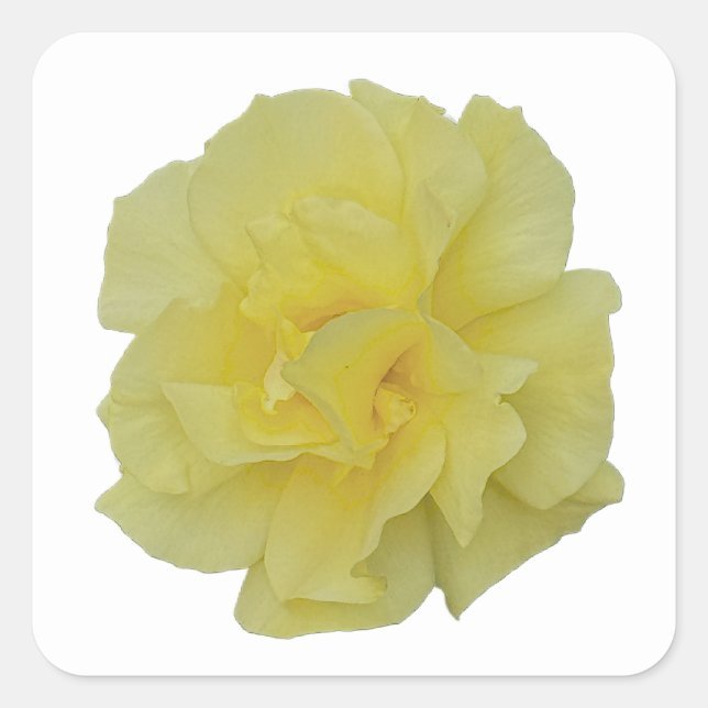Gelbe Blumen Aufkleber (Vorderseite)